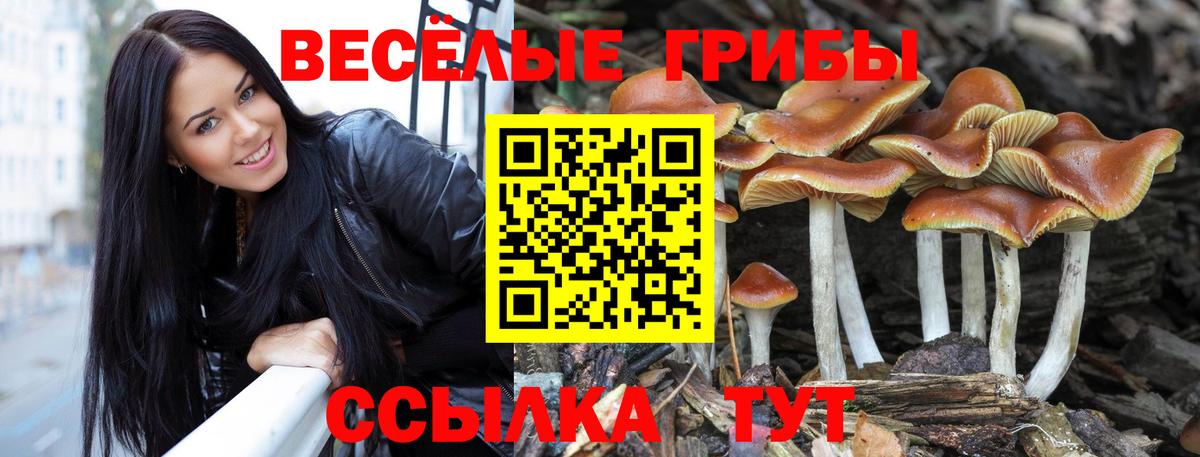 Галлюциногенные грибы Magic Shrooms  Вход с VPN  Моздок  Галлюциногенные грибы прущие грибы 